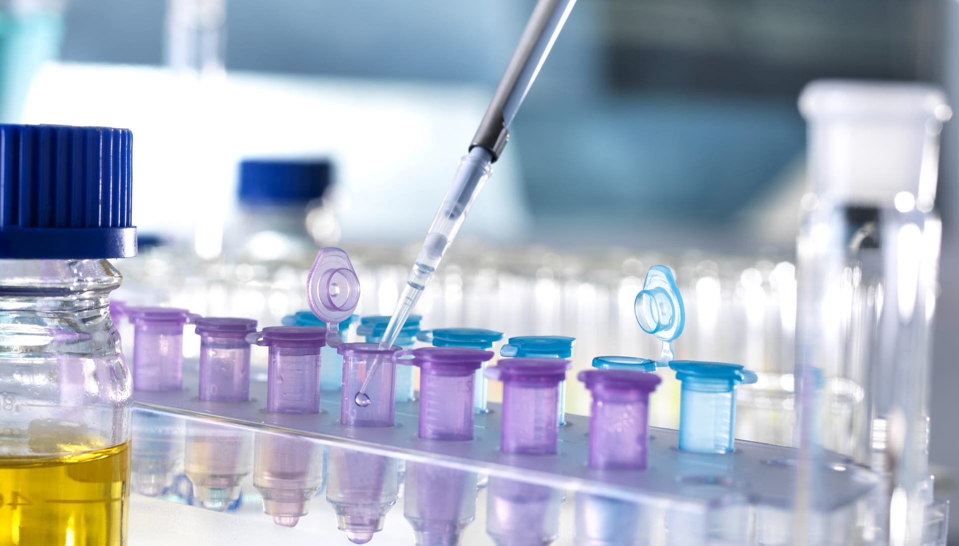 BCIC Competition 2023