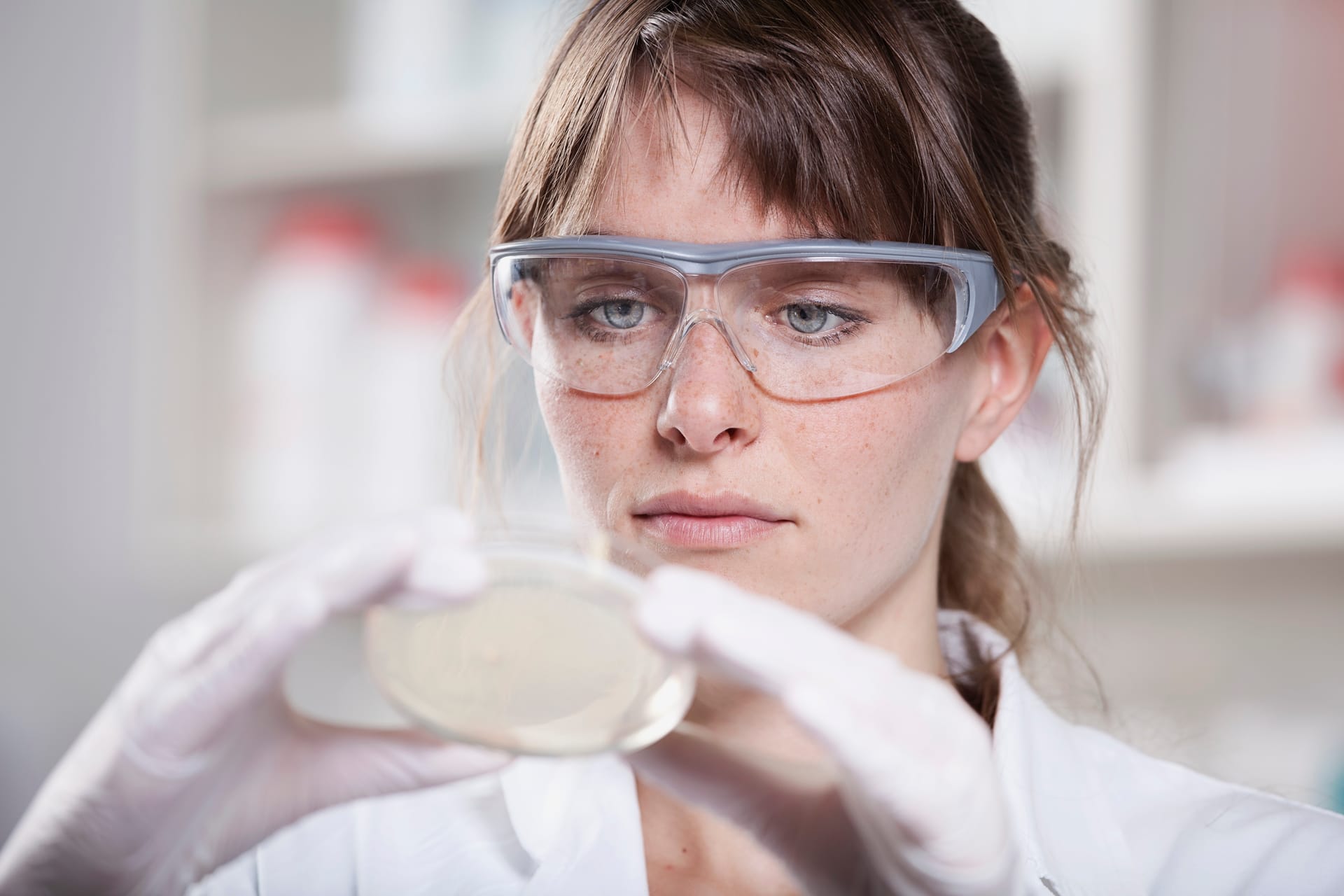 Female Scientist conducting toxicology study
